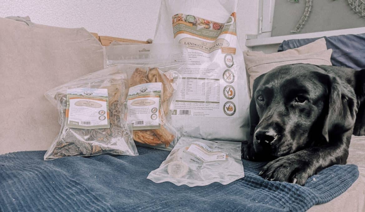 bellfor-hundefutter-im-test