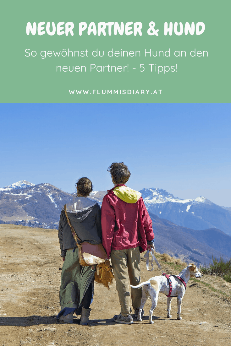 hund-neuer-partner-gewoehnen-tipps-zusammenfuehrung-blog-flummisdiary