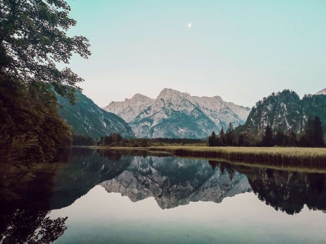 almsee-mit-hund-sonnenaufgang