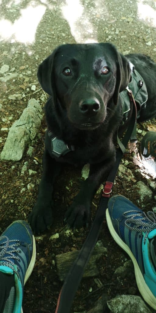 kleiner-sonnstein-mit-hund-salzkammergut-tipps