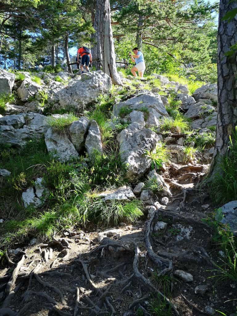 kleiner-sonnstein-mit-hund-tipps-wandern-mit-hund