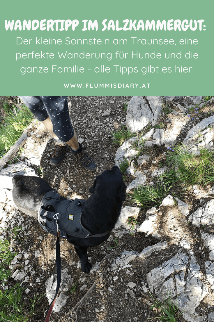 kleiner-sonnstein-mit-hund-tipps