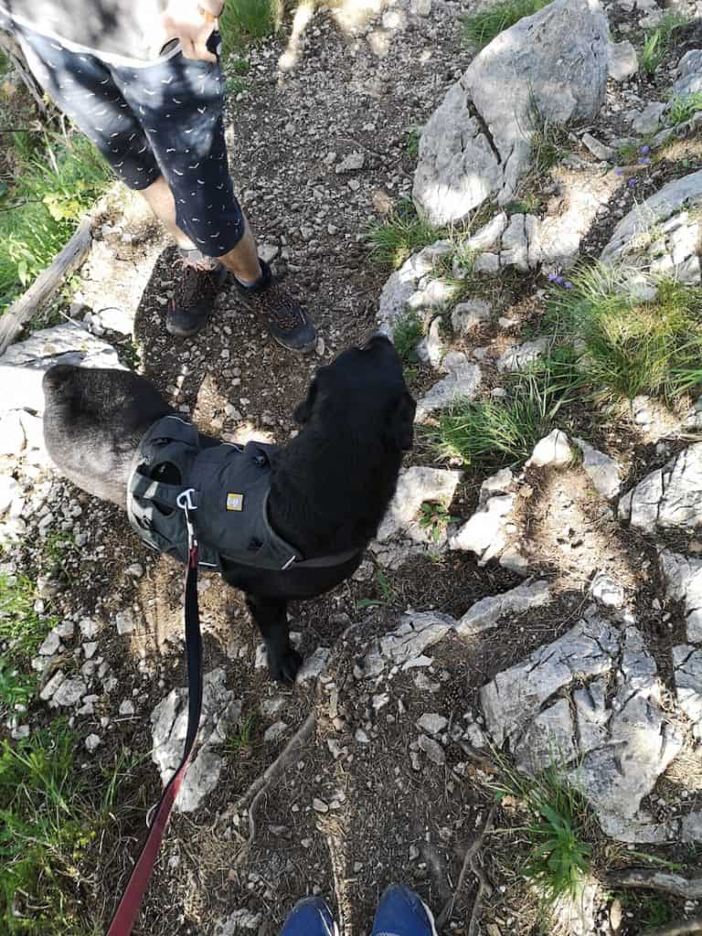 kleiner-sonnstein-mit-hund-wanderung