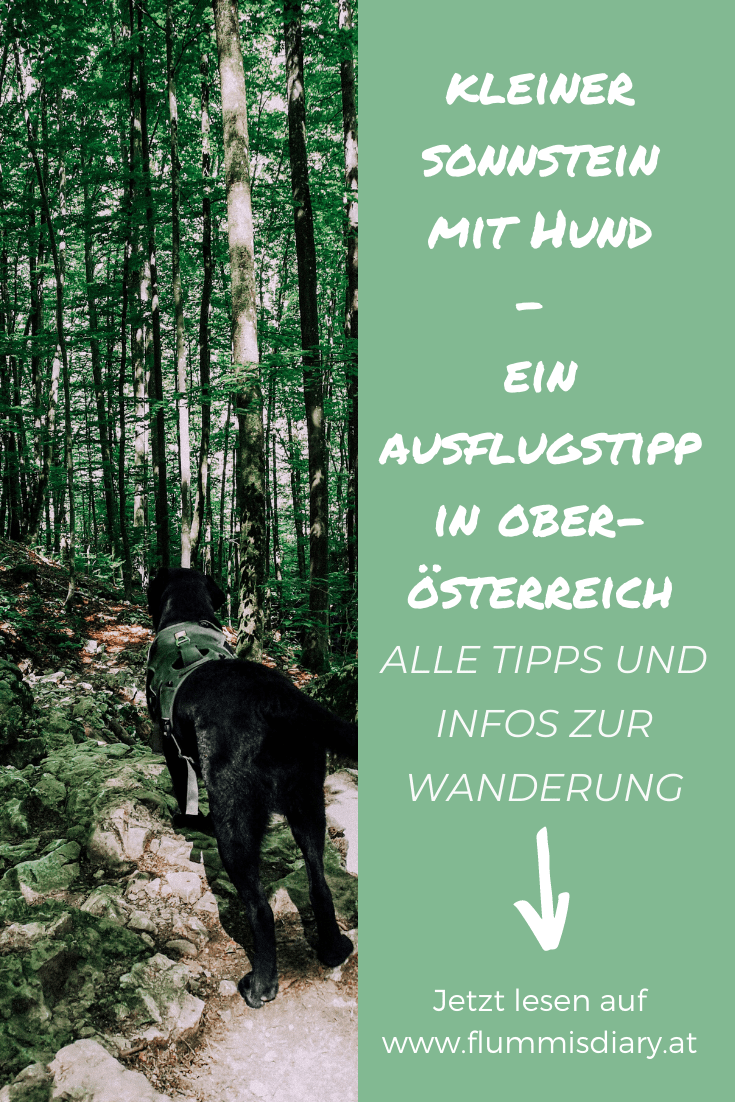 kleiner-sonnstein-mit-hund