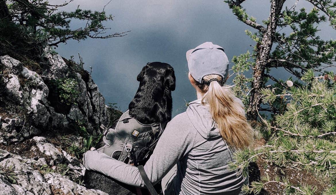 schoberstein-attersee-mit-hund-wandern