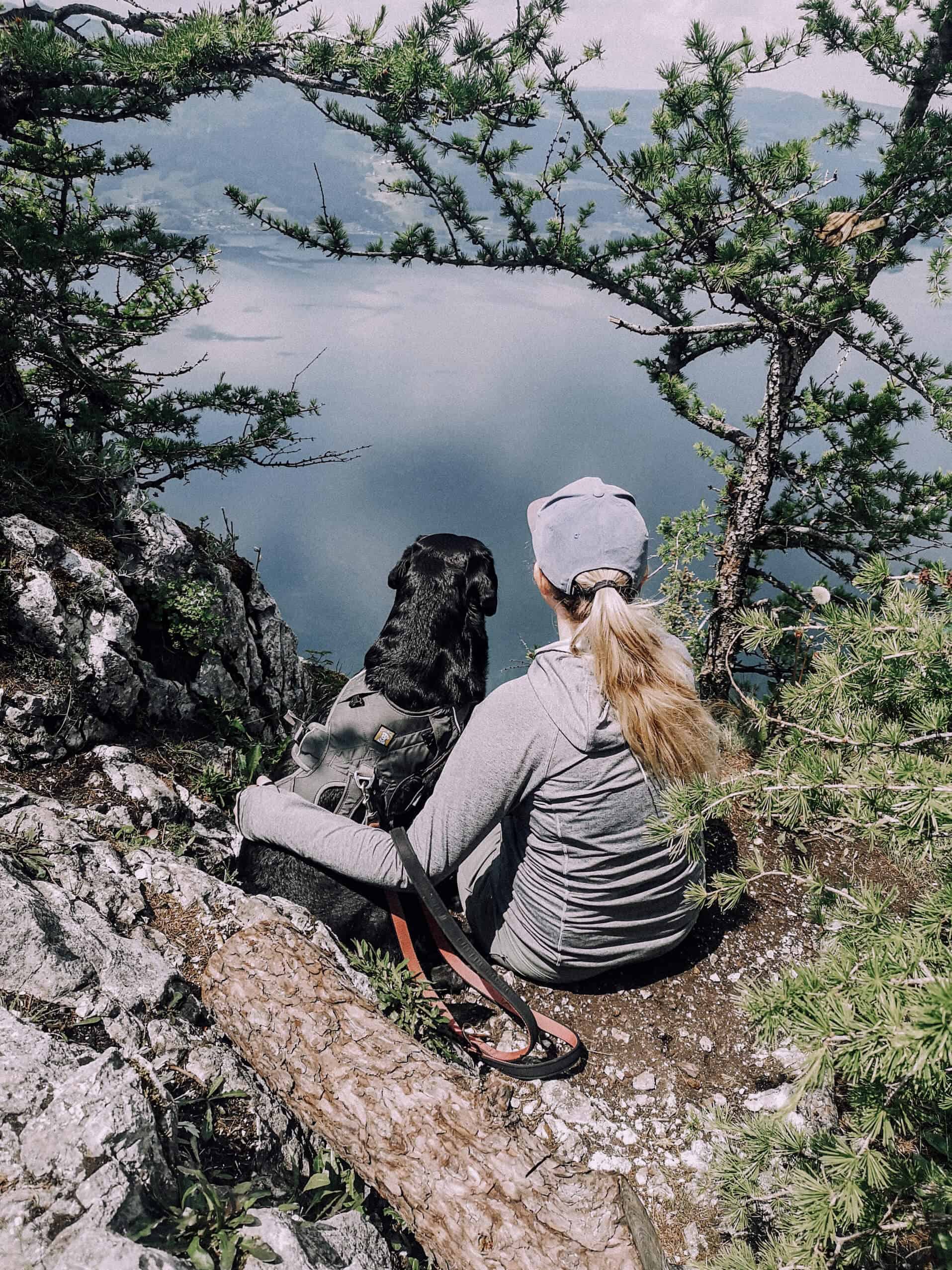 schoberstein-attersee-mit-hund-wandern