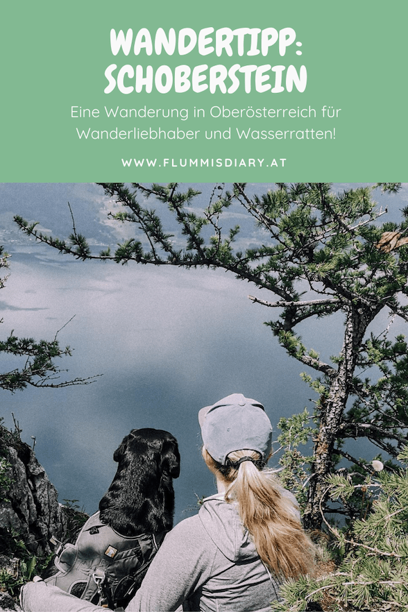 schoberstein-atterseee-mit-hund-wandern
