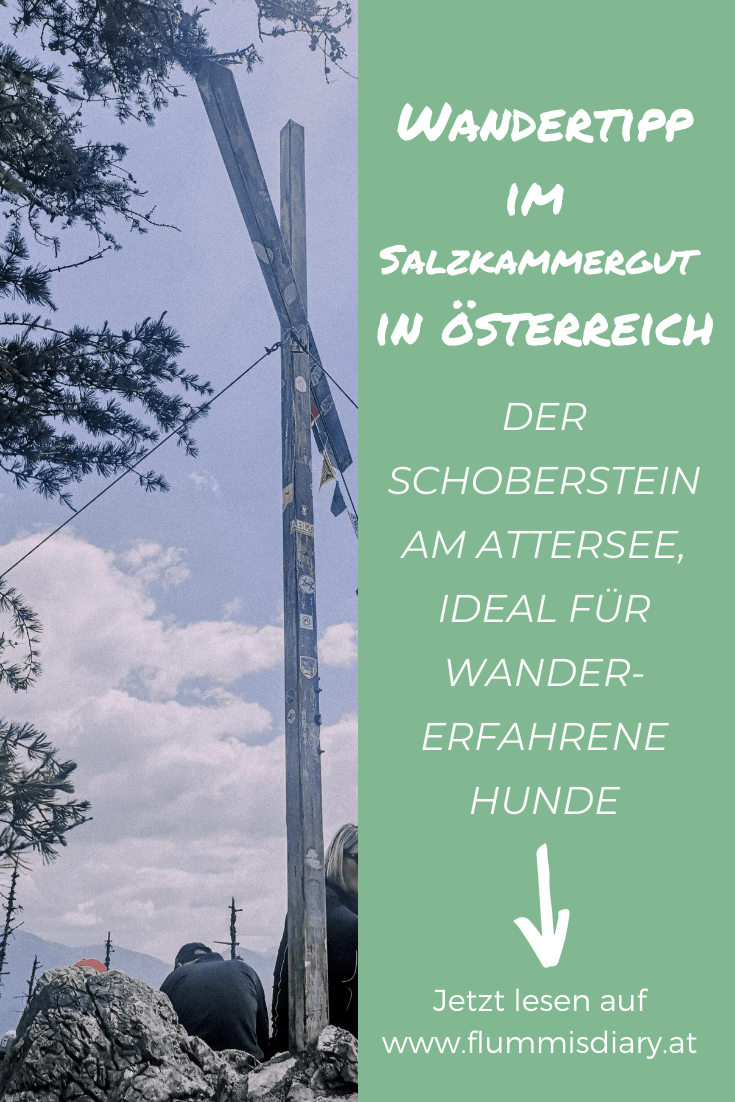 schoberstein-mit-hund-wandern-salzkammergut