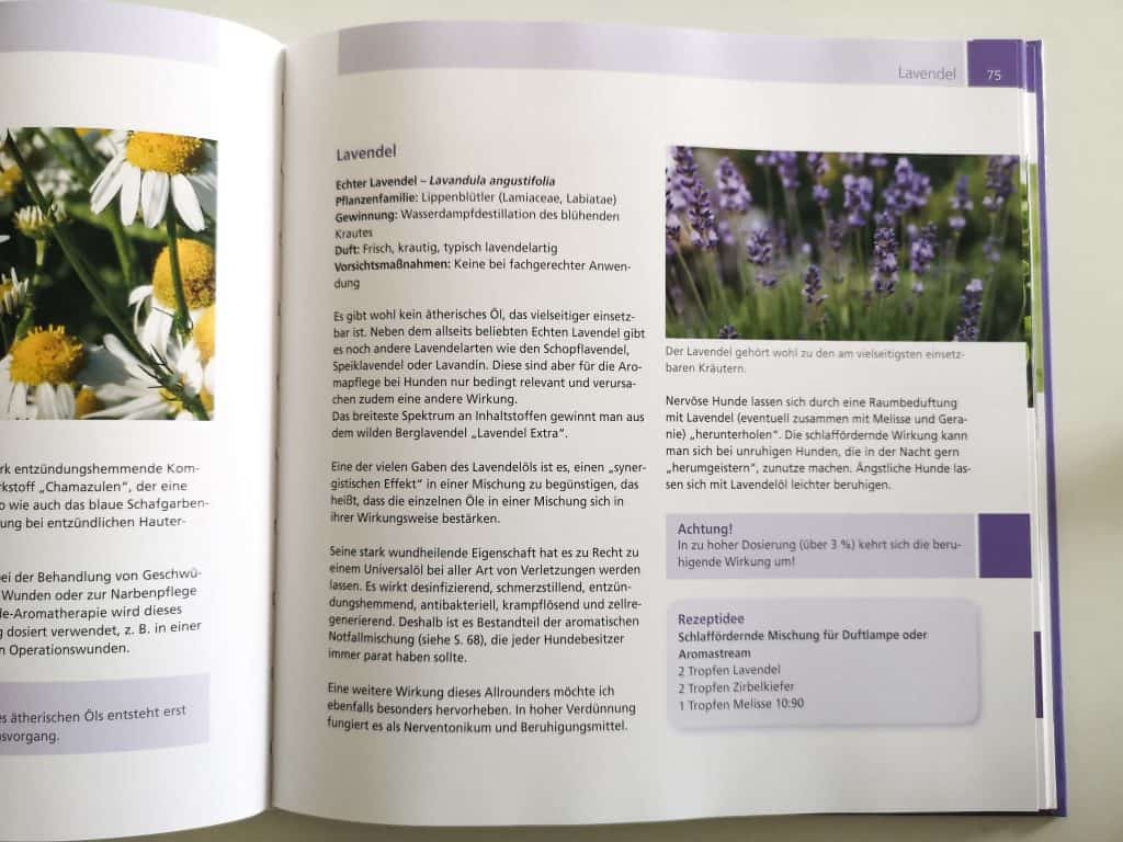 aromatherapie-fuer-hunde-blick-ins-buch-inside