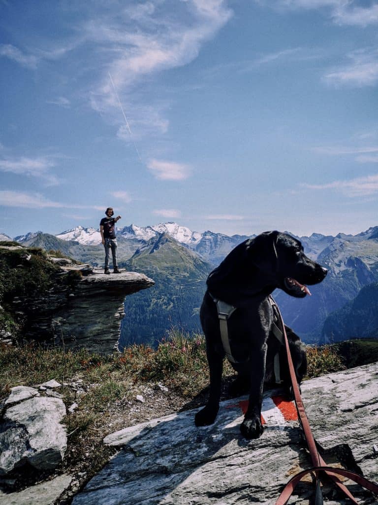 stuberkogel-wanderung-hund-gastein-salzburg-hunde