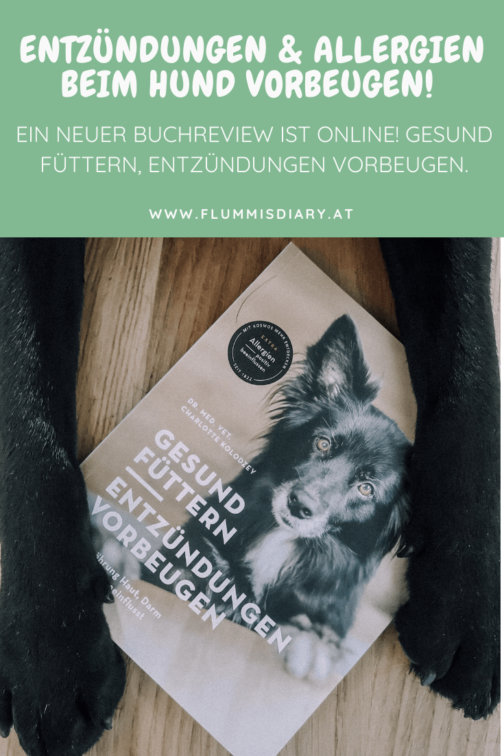 gesund-fuettern-entzuendungen-vorbeugen-buch-rezension-blog