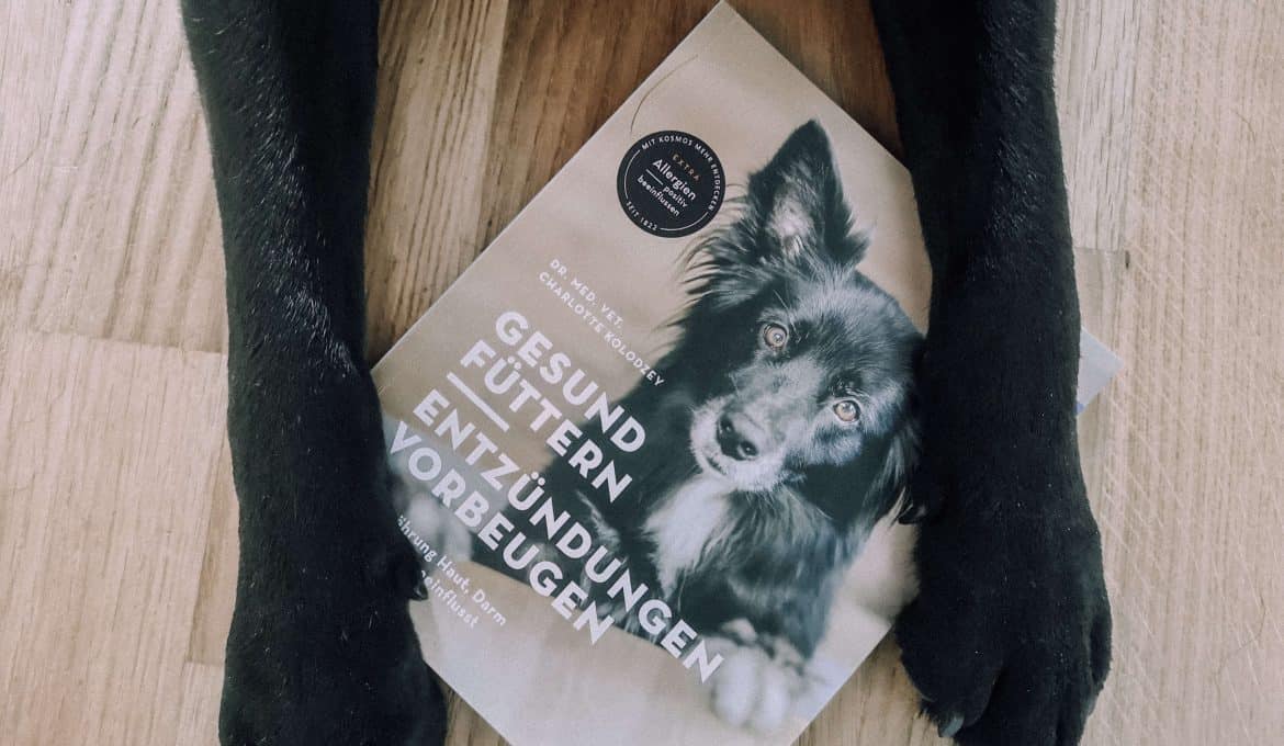 gesund-fuettern-entzuendungen-vorbeugen-buch-rezension-blog.png