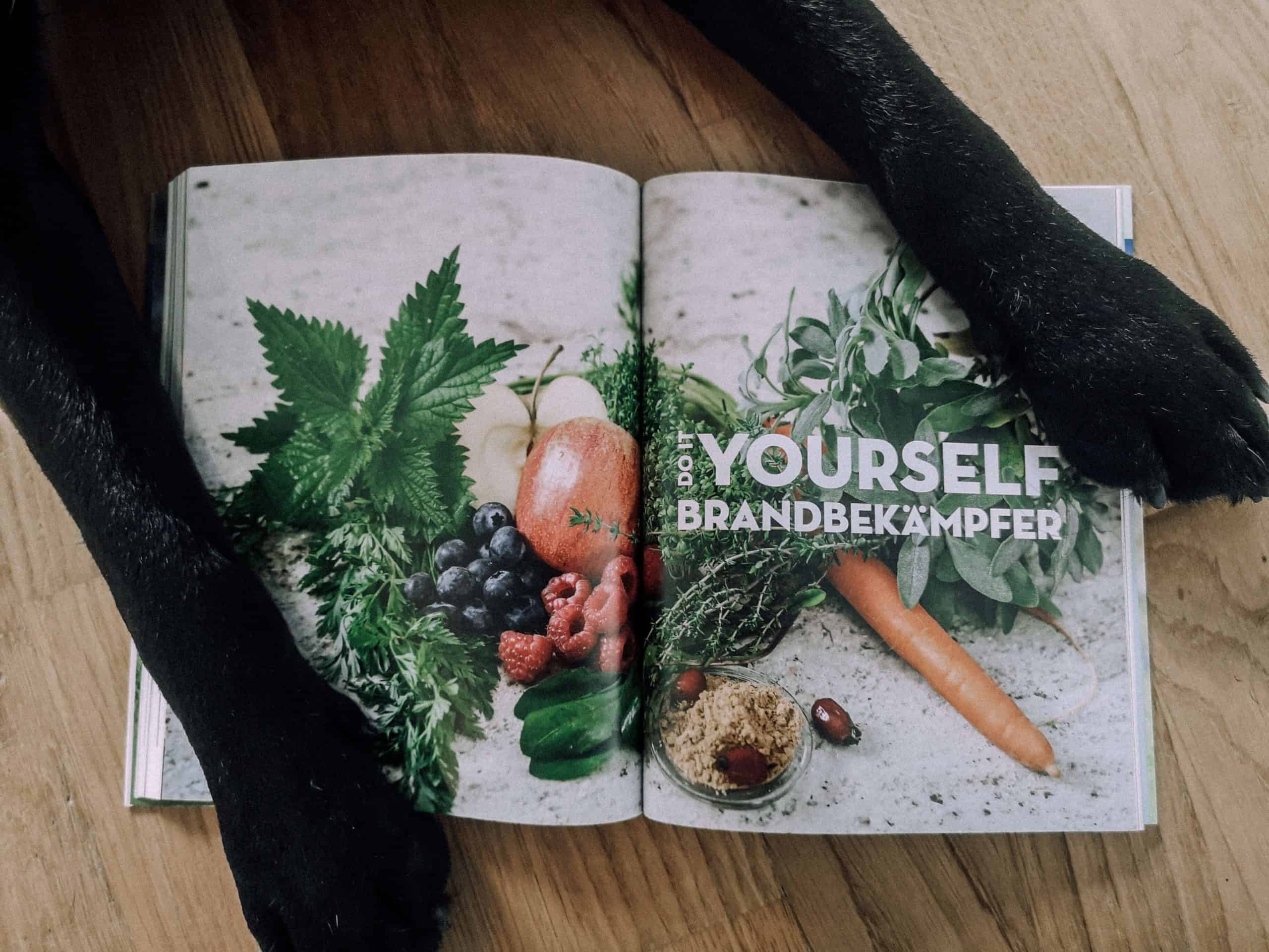 gesund-fuettern-entzuendungen-vorbeugen-buch-rezension-empfehlung
