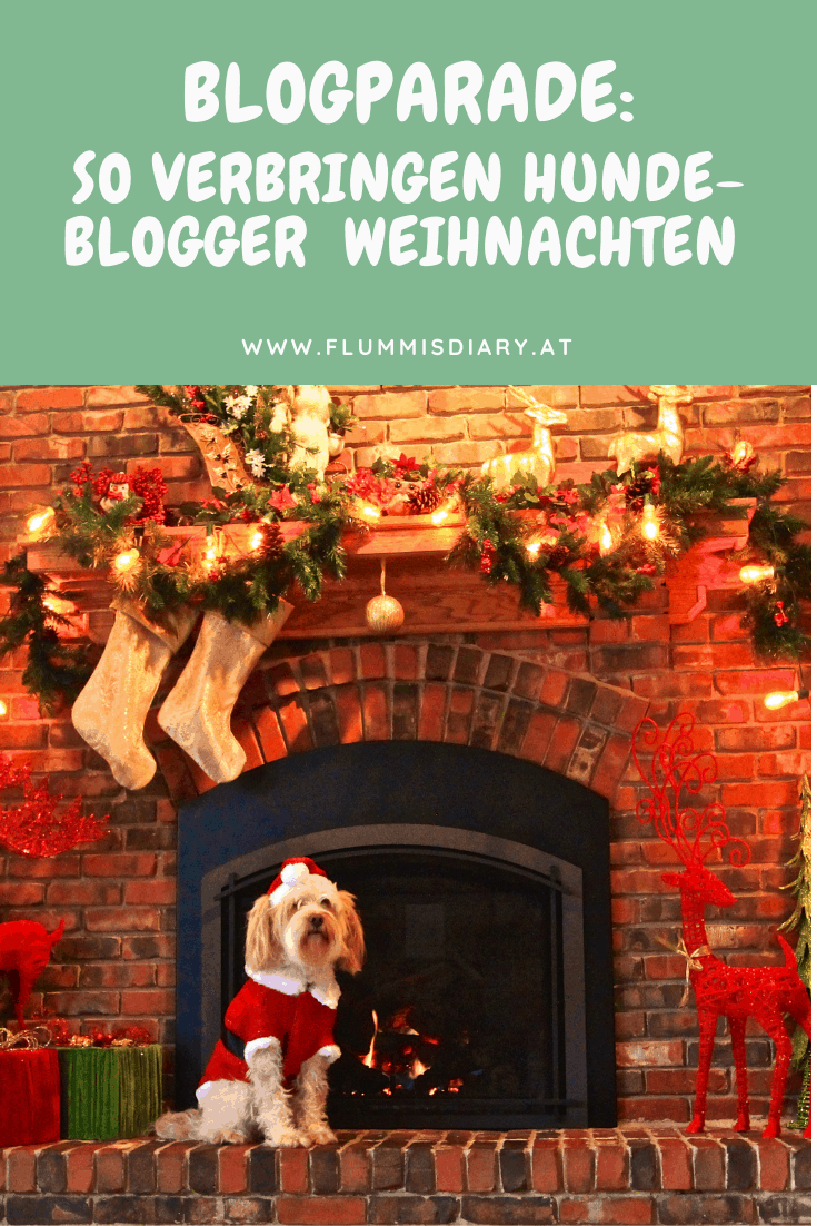 blogparade-so-verbringen-hundeblogger-weihnachten-hund-blog