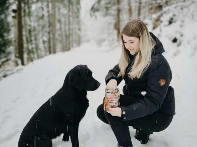 winterwanderung-schaffersee-oberoesterreich-mit-hund-tipps