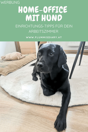 arbeitszimmer-mit-hund-home-office-hunde-officedog-buerohund