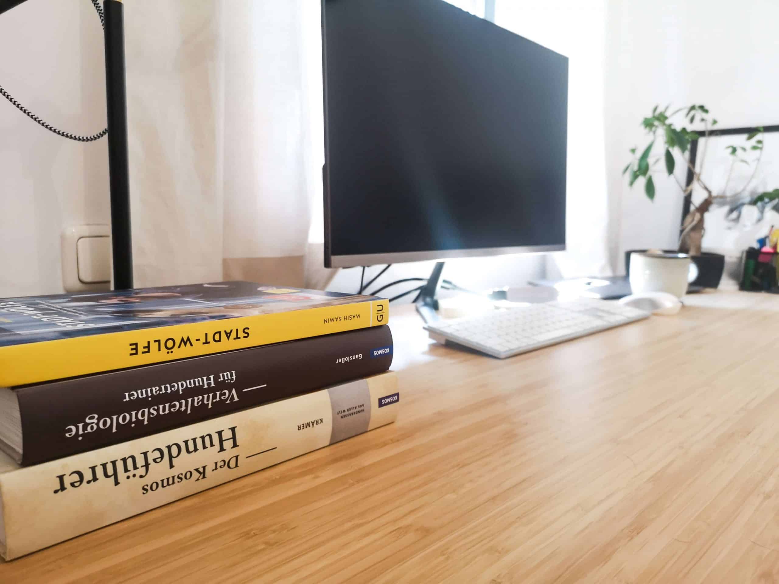 arbeitszimmer-mit-hund-home-office-hunde-officedog-dog