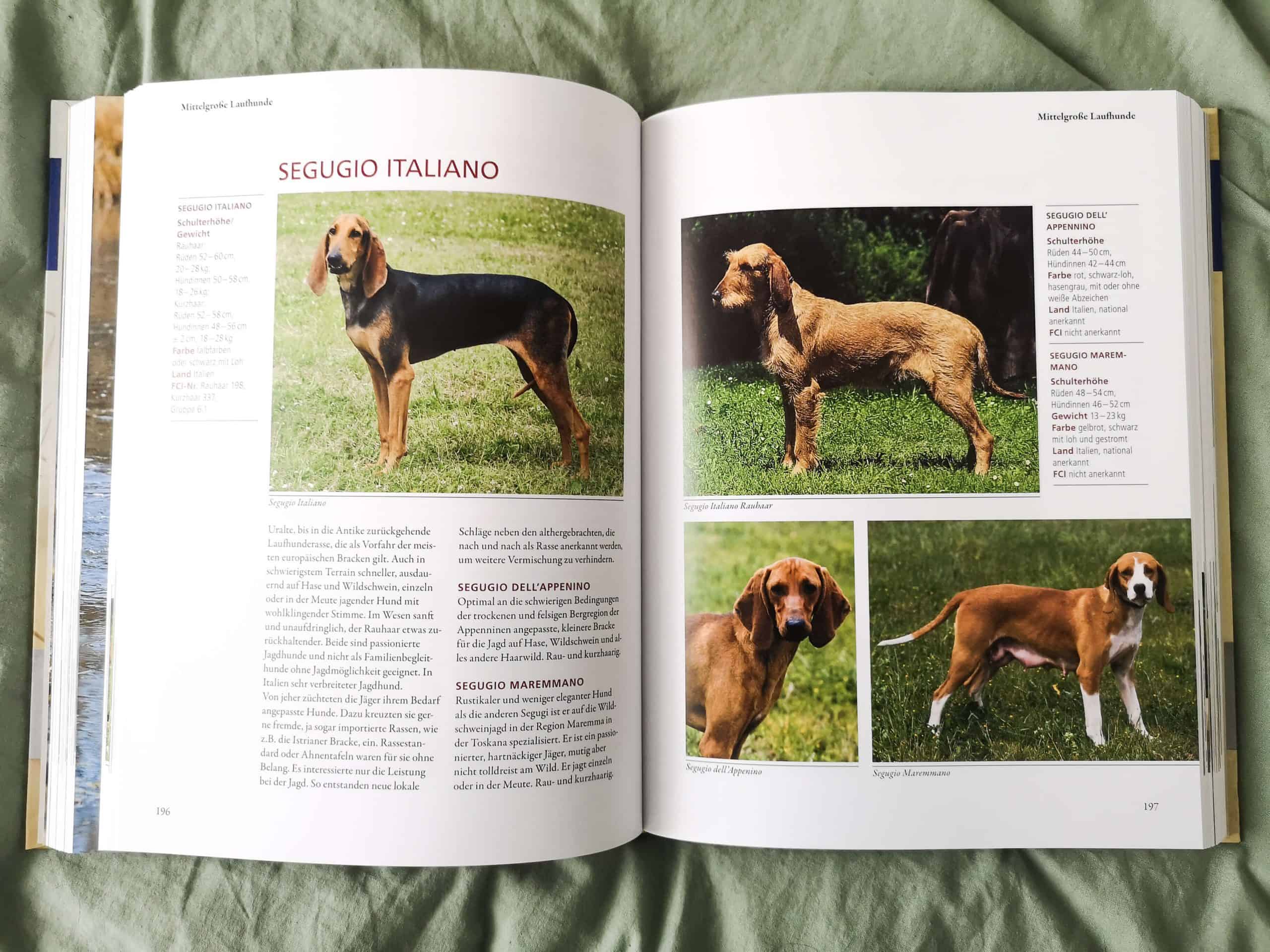kosmos-hundefuehrer-welcher-hund-passt-zu-mir-hilfe