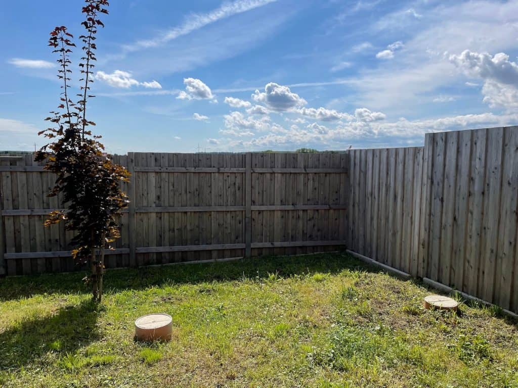hundepension-ungarn-pro-village