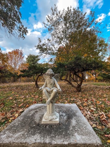Happy HOWLoween: the story of Brown Pet Cemetery 1 Brown Pet Cemetary