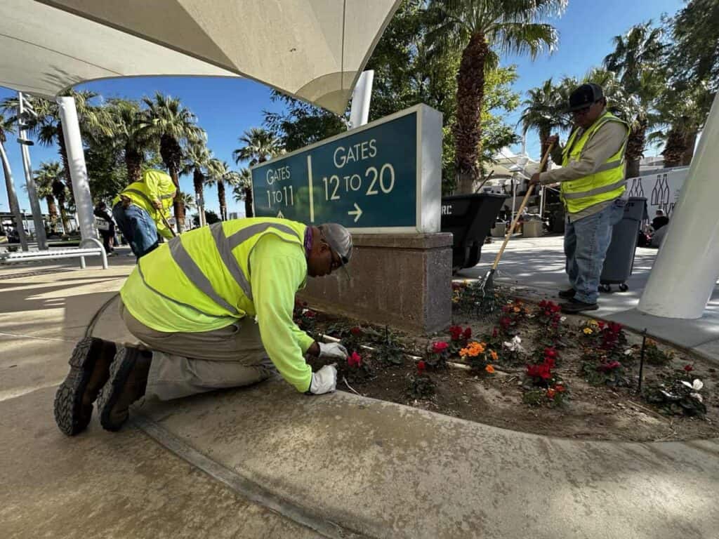 Three workers in high-visibility vests tend to colorful flower beds under a canopy, with palm trees and a gate sign in the background.