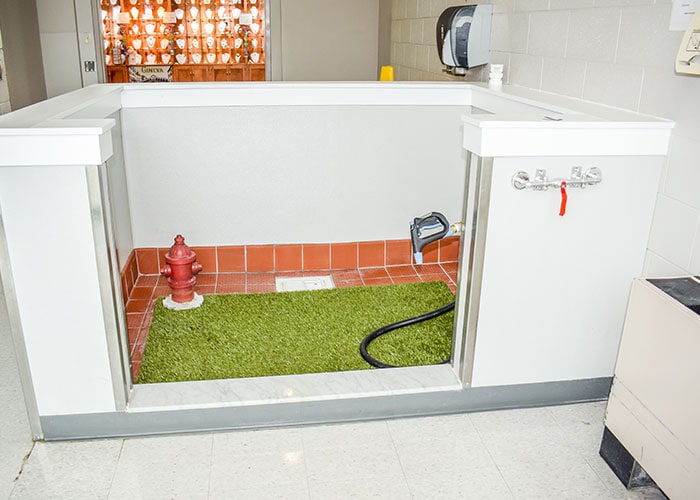 pet relief area