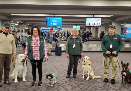 PVD-Pups-1 PVD-Pups-1