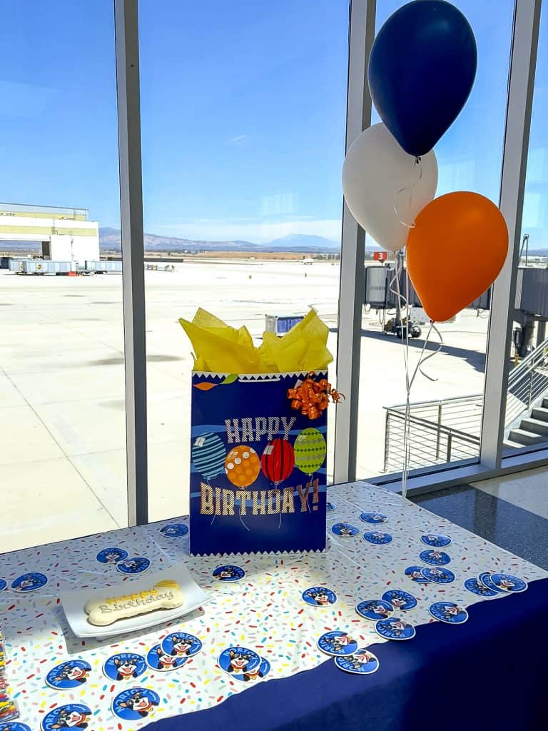 It's a celebration in the terminal