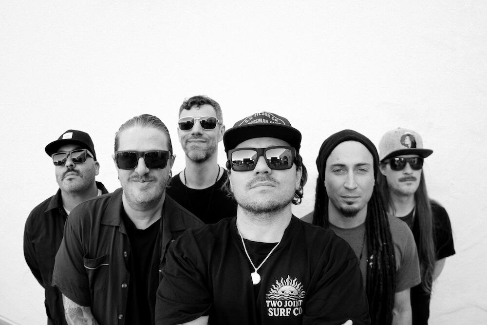 Press photo of The Elovaters