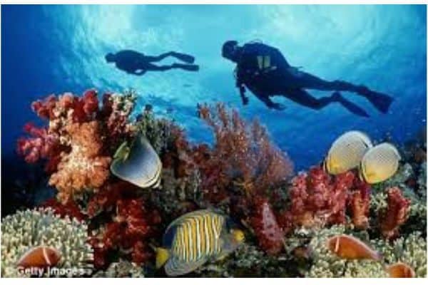 4 Leadership Insights from the Deep Blue