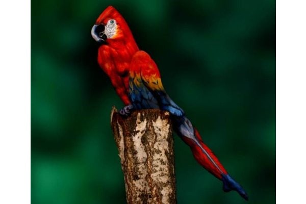 Why Perspective Matters: Rethinking the Way We See, Lead, and Learn