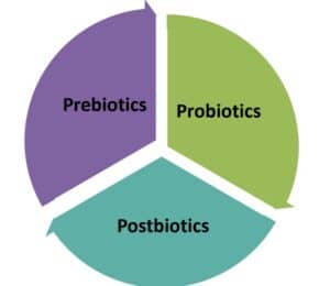 Probiotics, Prebiotics, Postbiotics