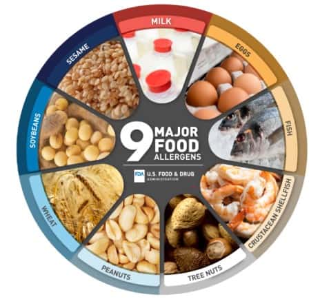 9 Major Food Allergens