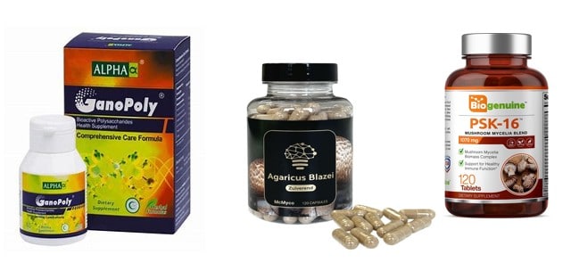 Some Edible Fungi: Market available products