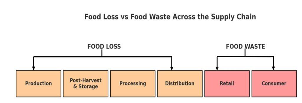 Food loss vs Food waste