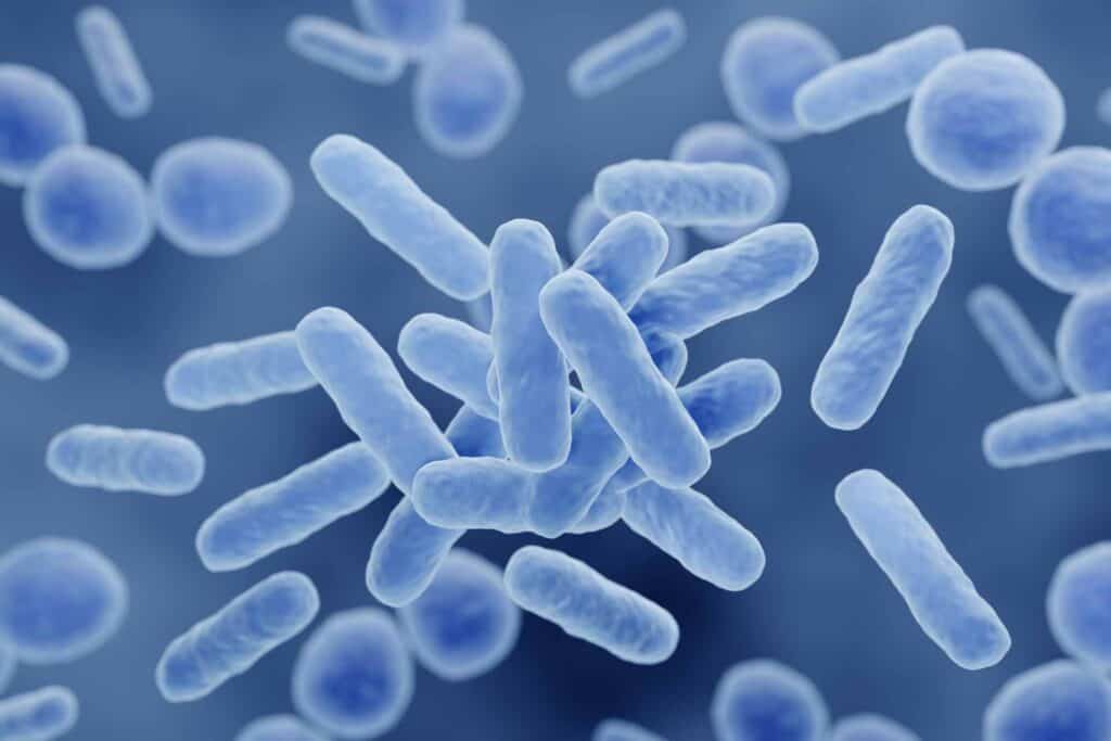 Postbiotics: Gut Health