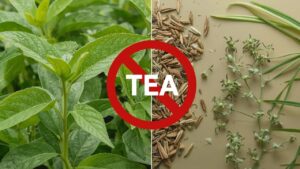 FSSAI Clarifies Use of the Term “Tea”: Herbal and Plant-Based Infusions Cannot Be Marketed as Tea