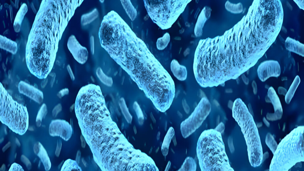 Overview of EU Regulation 2024/2895 strengthening Listeria limits in ready-to-eat foods across shelf life.