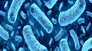 Overview of EU Regulation 2024/2895 strengthening Listeria limits in ready-to-eat foods across shelf life.