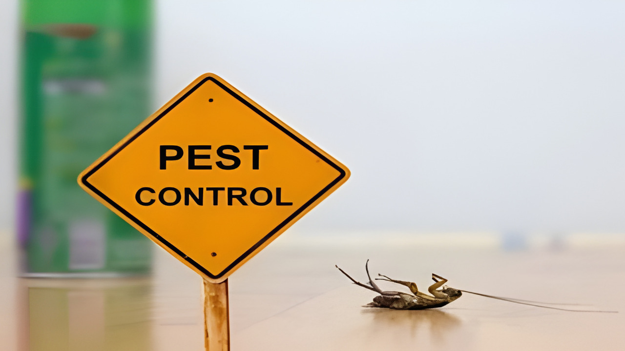 Pest Control: A Critical PRP for Food Safety