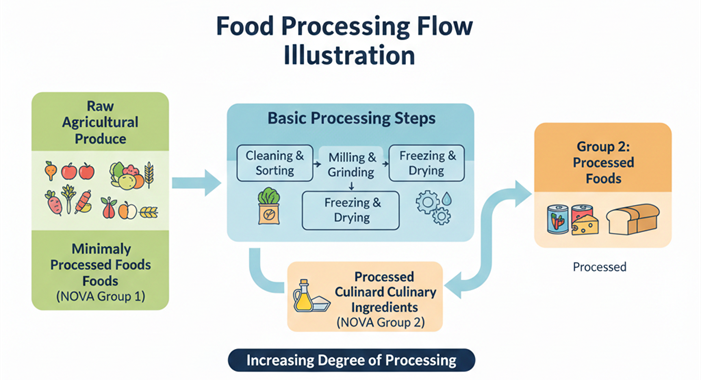 Food processing flow chart showing NOVA classification of minimally processed and processed foods.