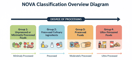 NOVA food classification diagram showing processing levels from unprocessed to ultra-processed foods.
