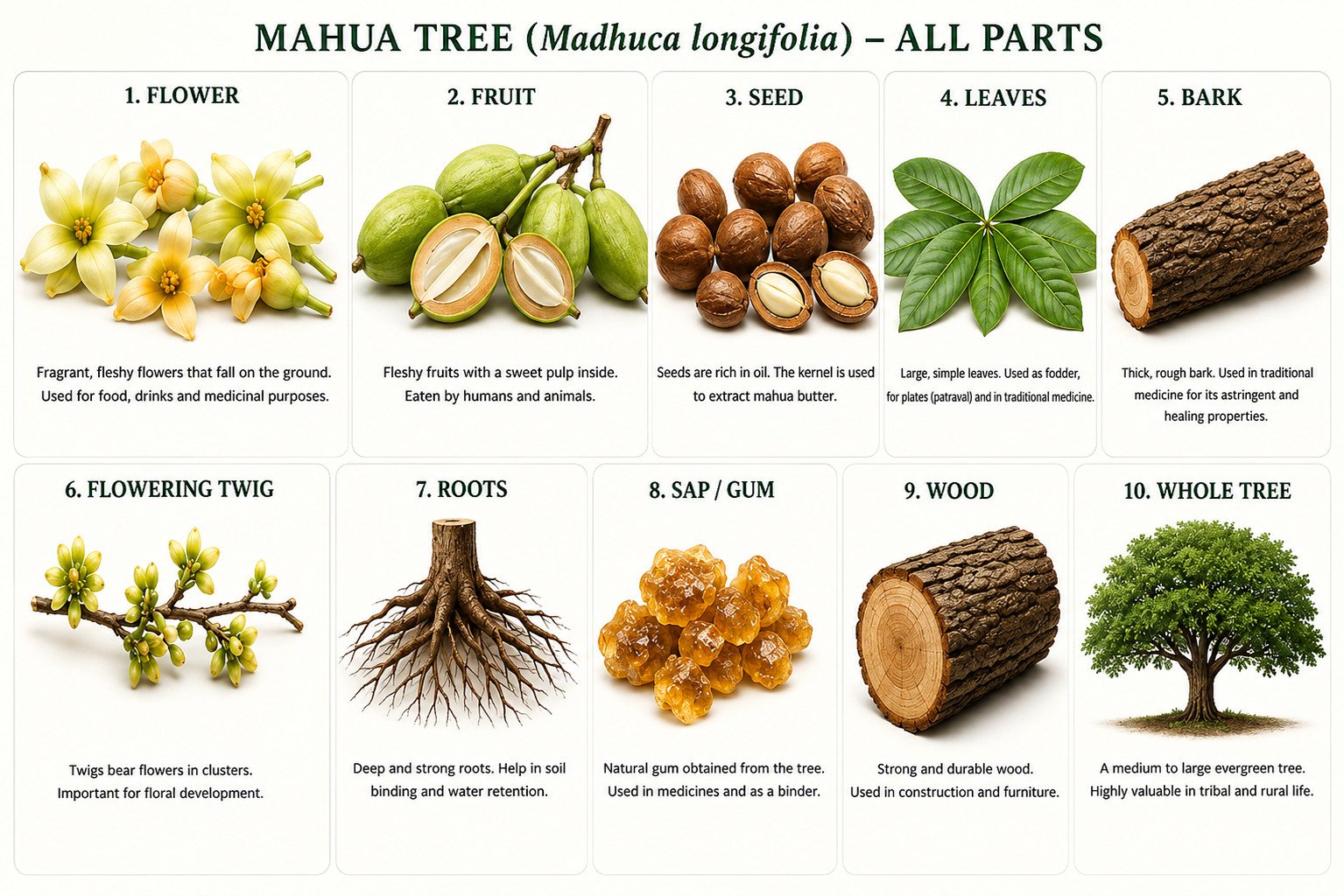 Natural Sweetener
