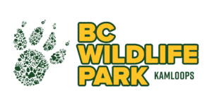 About us: The BC Wildlife Park logo features a green paw print with the park’s name in bold yellow and green text set against a black background.