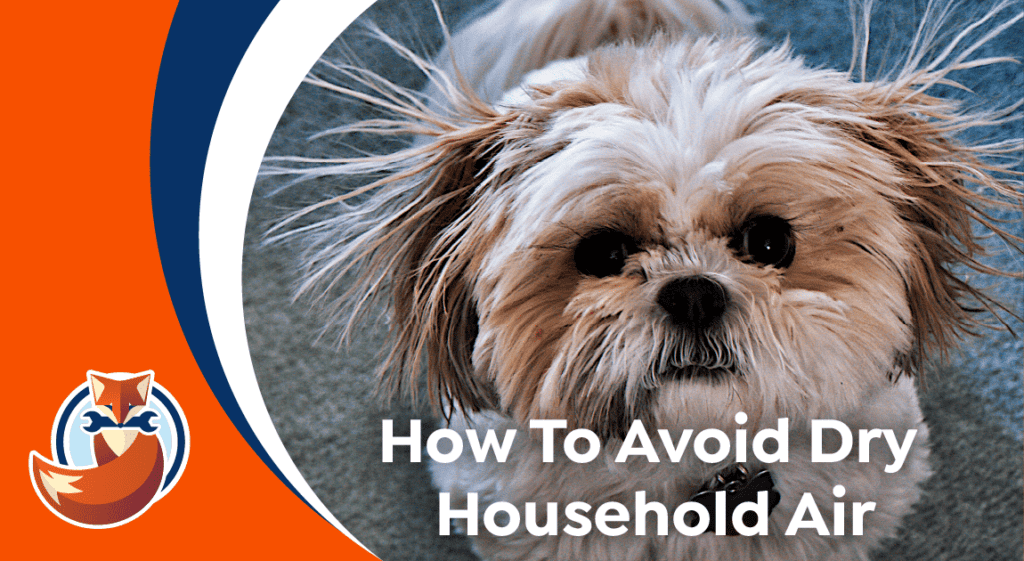 A small dog with static fur stands indoors next to text that reads, "How to Avoid Dry Household Air and maintain healthy household humidity.