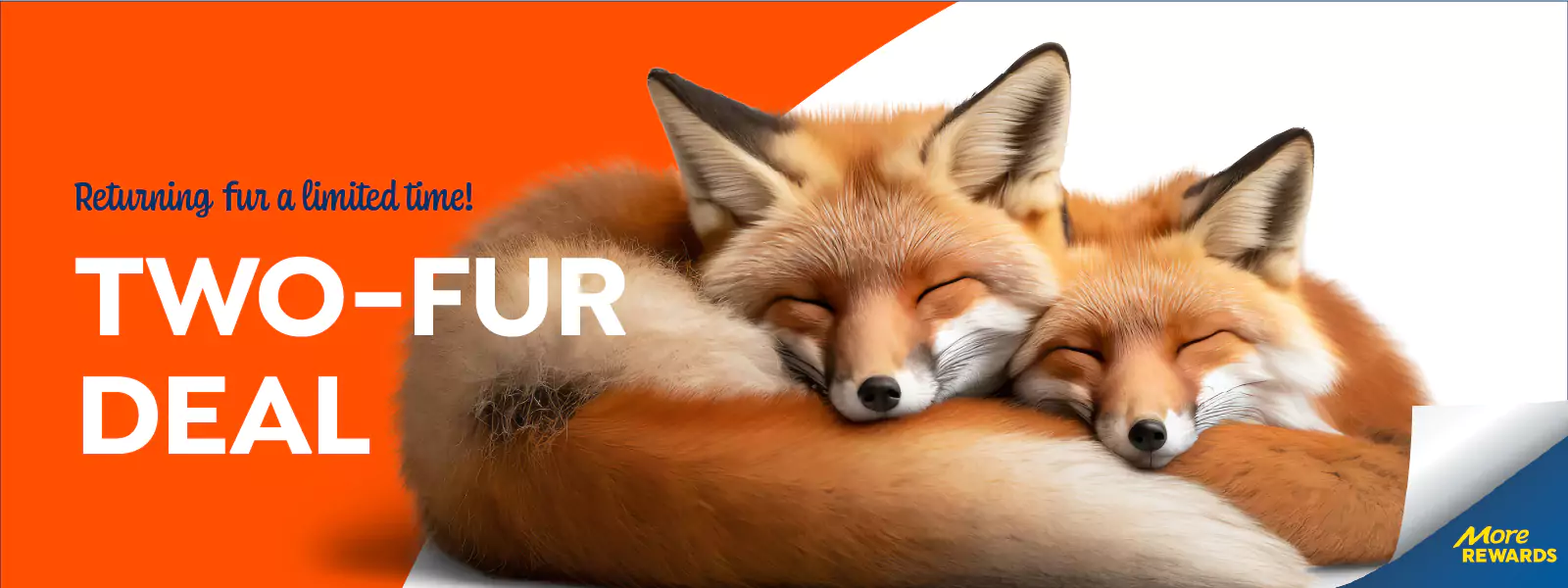 Two red foxes sleep curled up together with the text “Returning fur a limited time! TWO-FUR DEAL,” a More Rewards logo in the corner, and a playful nod to our community—learn more about us today!.