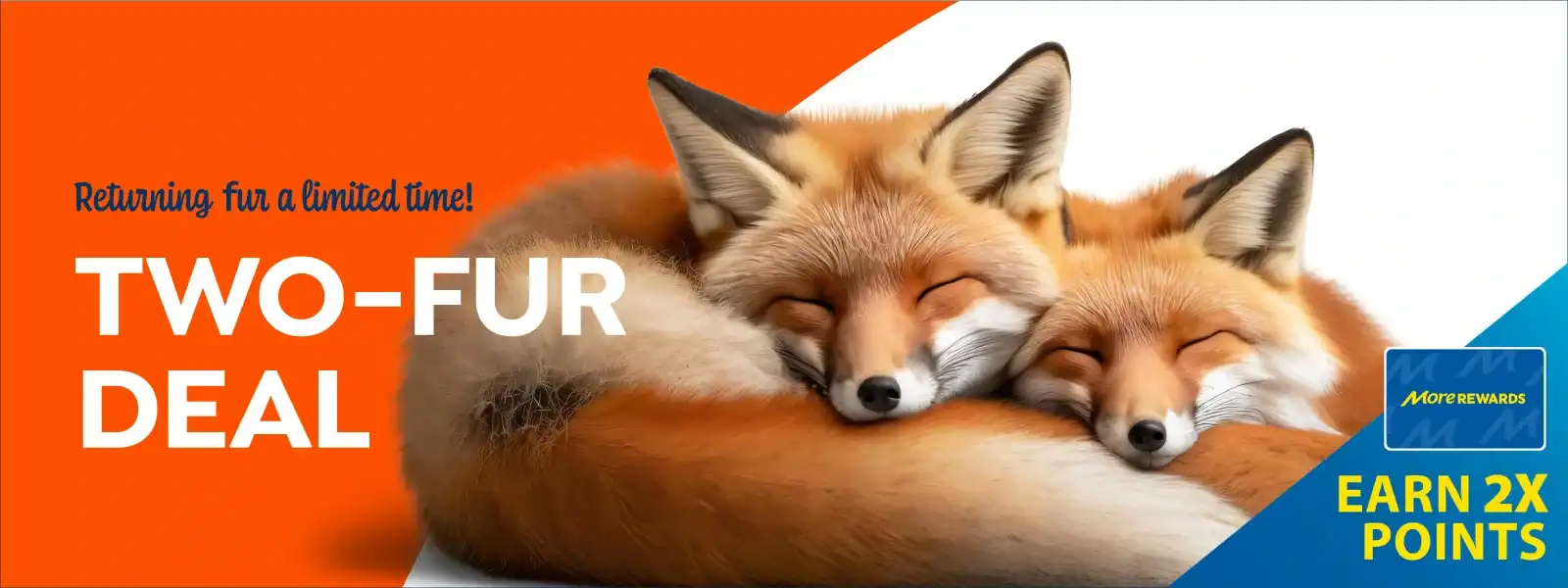 Two foxes sleeping curled together with the text: “Returning fur a limited time! TWO-FUR DEAL. Morewards: Earn 2X Points. Learn more about us.”.