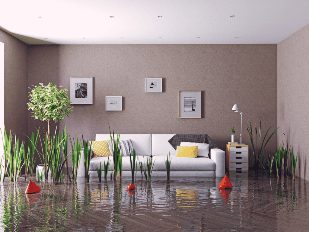 couch in living room with flood