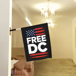 Free DC Flag – American Flag Protest Graphic Flag