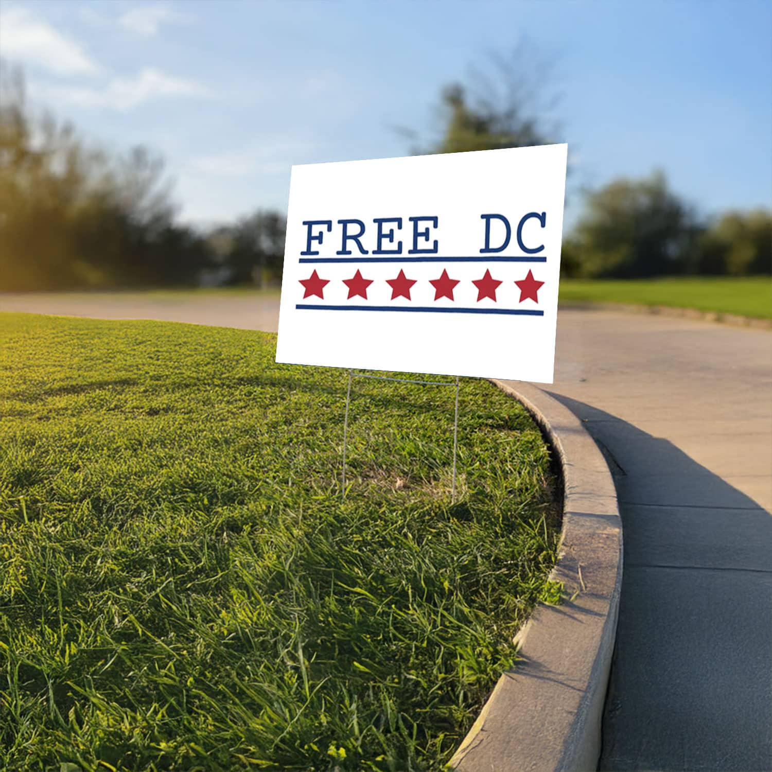 Free-DC-Stars-Protest-Yard-Sign-–-Resist-Federal-Overreach